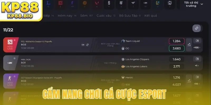 Cẩm nang chơi cá cược Esport