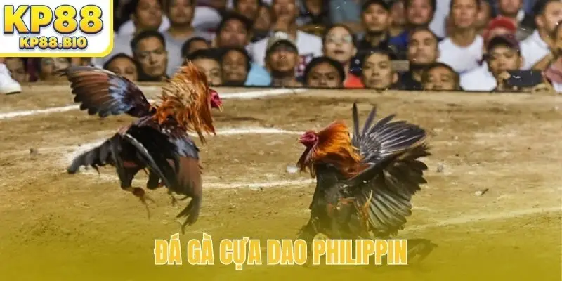 đá gà cựa dao philippin